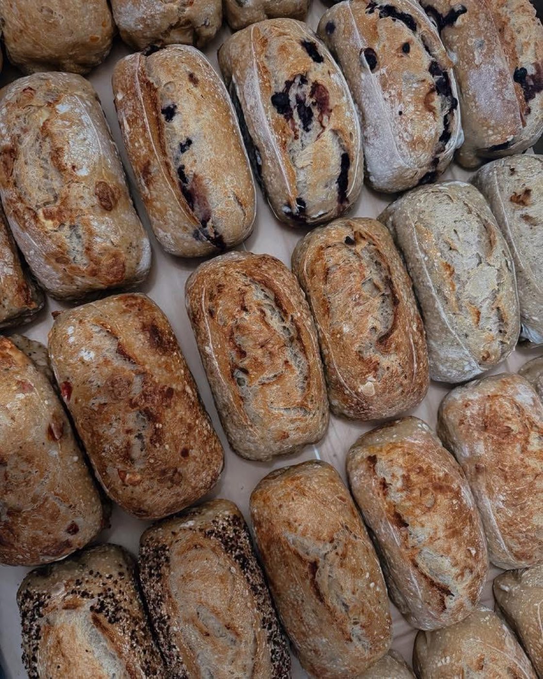 Rows of freshly baked sourdough loaves in several varieties, seen from above